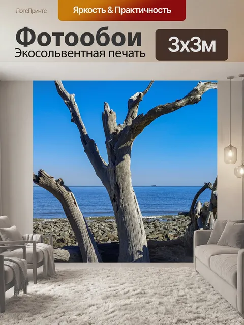 Фотообои Коряги Дерево
