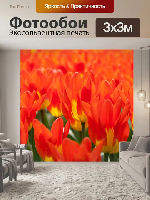 Фотообои желтые красные тюльпаны