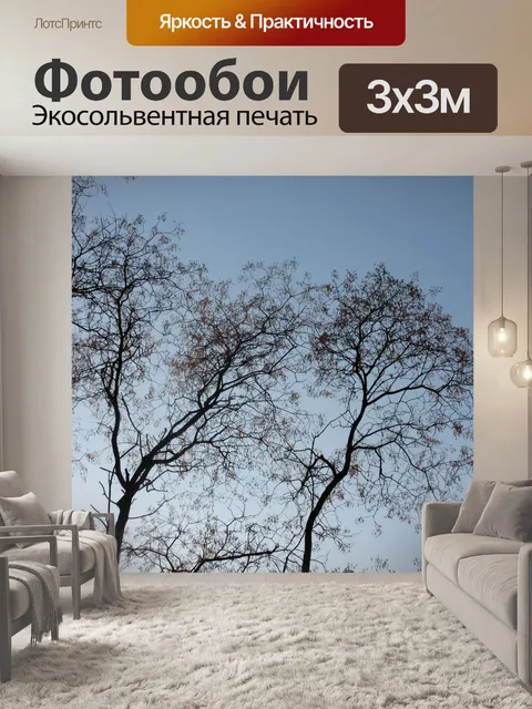 Фотообои Пепел
