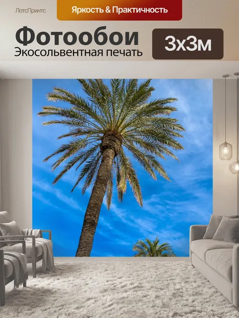 Фотообои Пальмы против неба