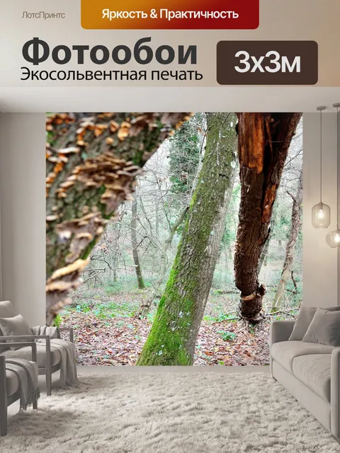 Фотообои Лес