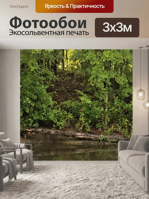 Фотообои Край пруда в лесу
