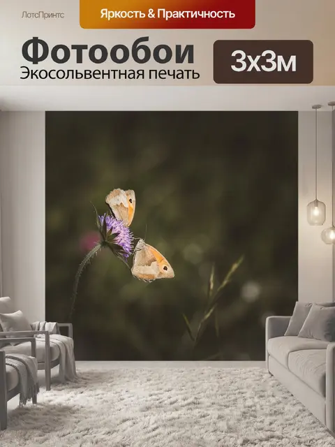 Фотообои Большой бычий глаз