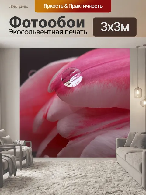 Фотообои Тюльпан