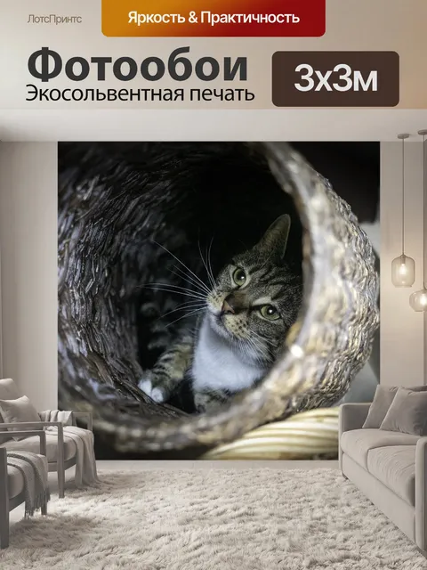 Фотообои Кошка