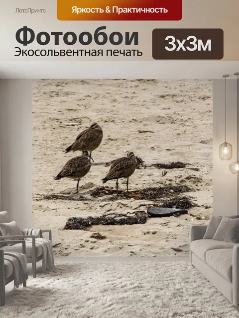 Фотообои куликов