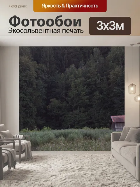 Фотообои Лес