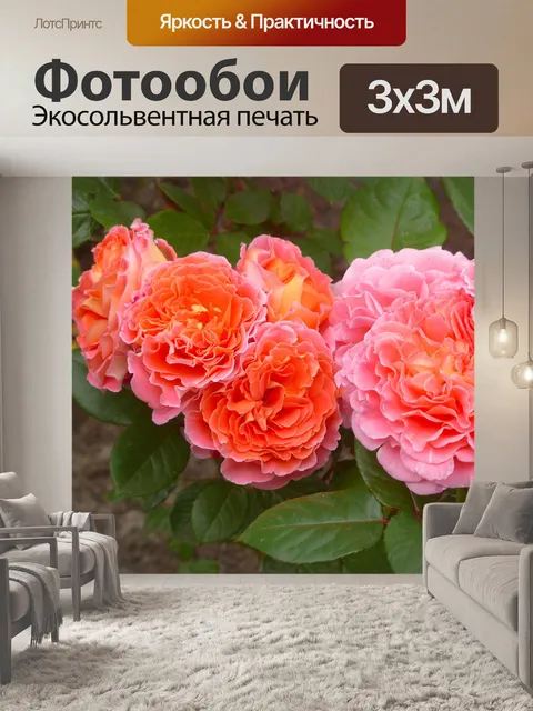 Фотообои Розы