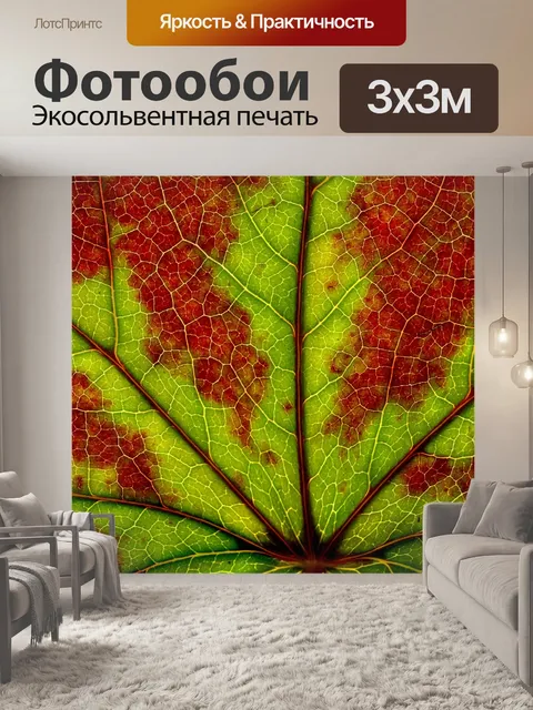 Фотообои Кленовый лист листва осень