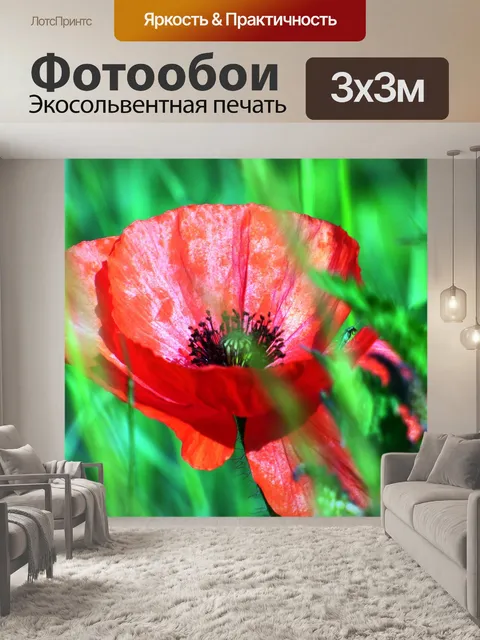 Фотообои Цветы