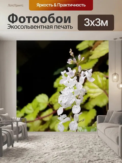 Фотообои Земля