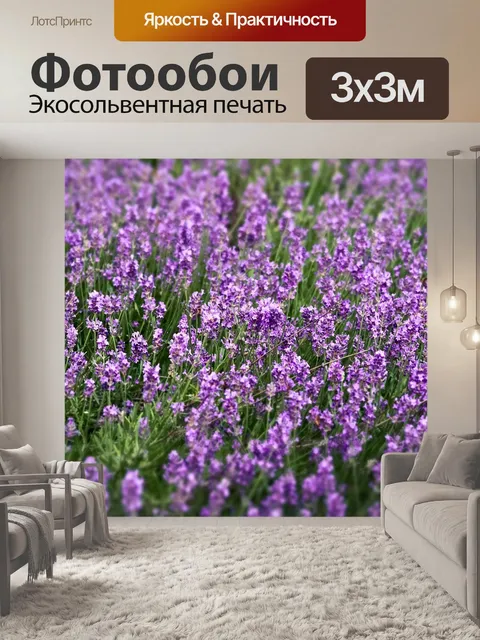 Фотообои Лаванда