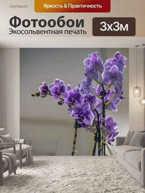 Фотообои Фиолетовые орхидеи