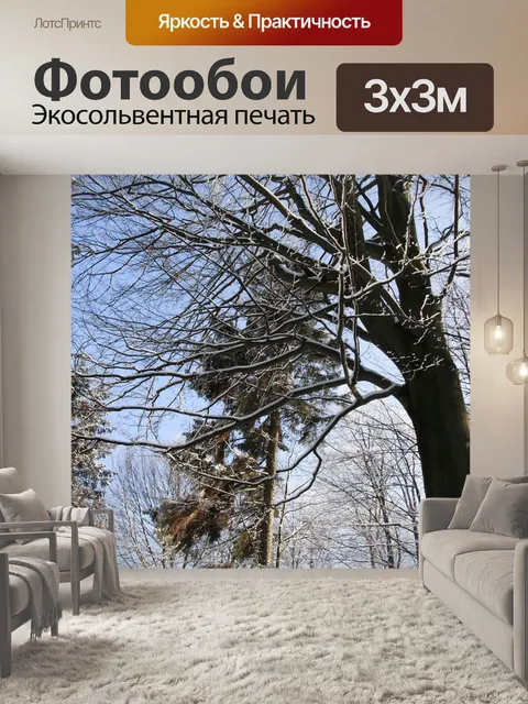 Фотообои Совьи