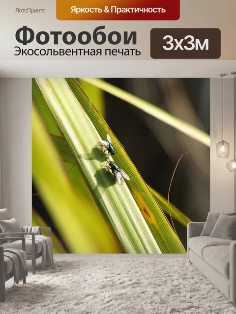 Фотообои Летит