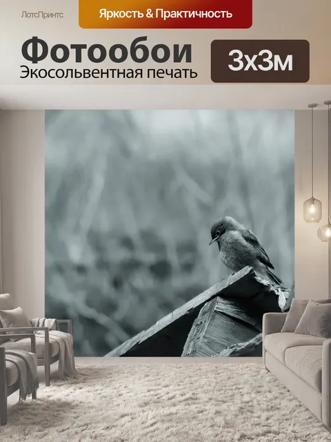 Фотообои Черно-белый