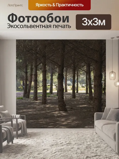 Фотообои Лес