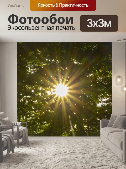 Фотообои Солнечная звезда сквозь деревья