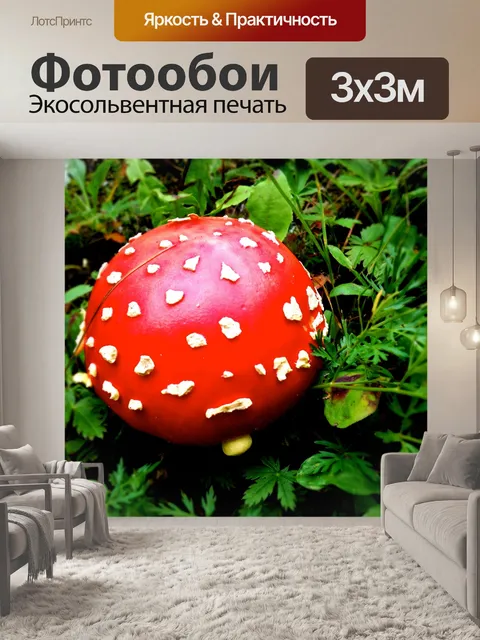 Фотообои Грибы на Лесная тропа
