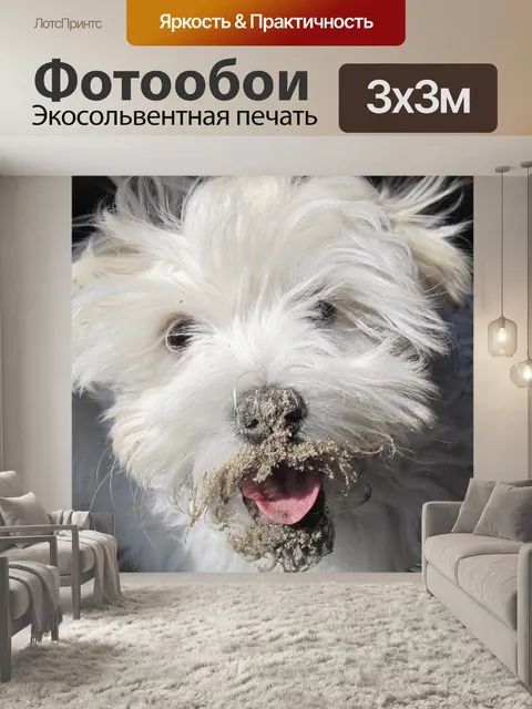 Фотообои Собака