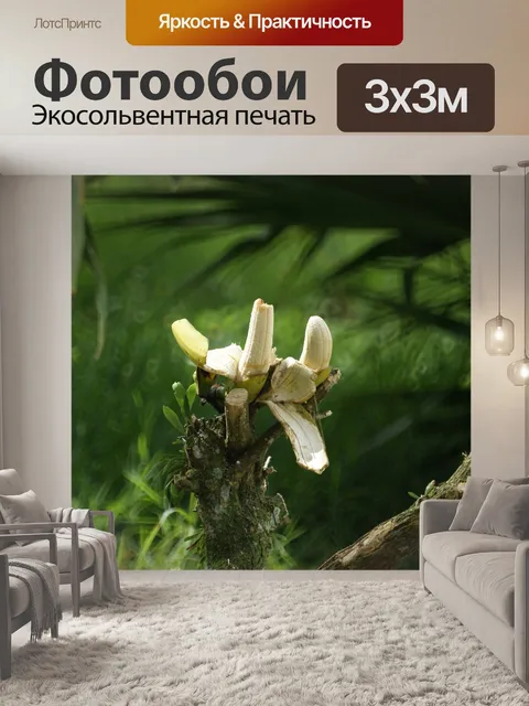 Фотообои Пейзаж