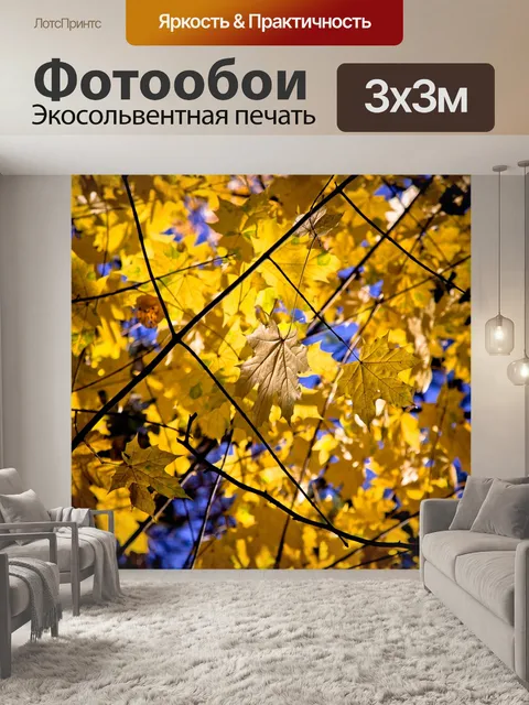 Фотообои Клен