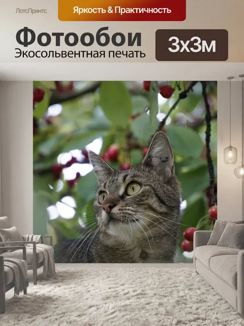 Фотообои Защита