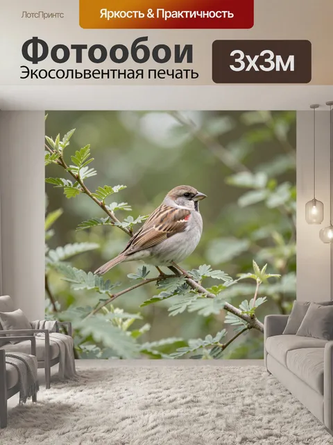 Фотообои Маленькая птица на ветке