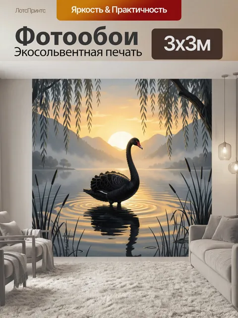 Фотообои Черный лебедь на озере