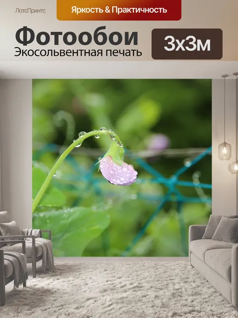 Фотообои Горох