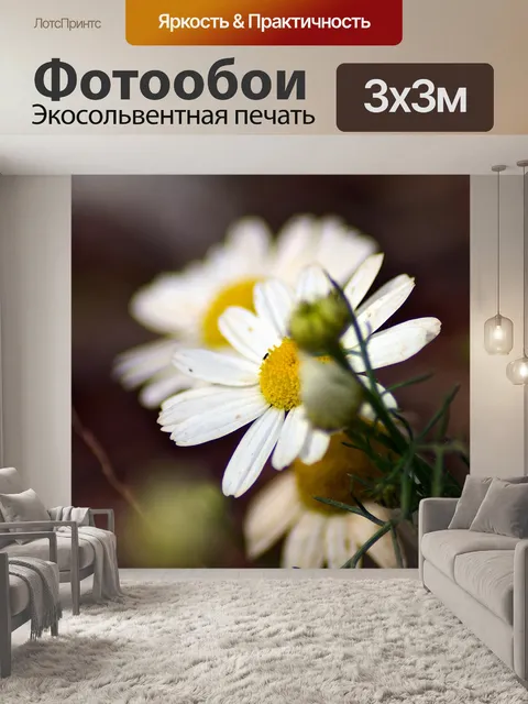 Фотообои Ромашка