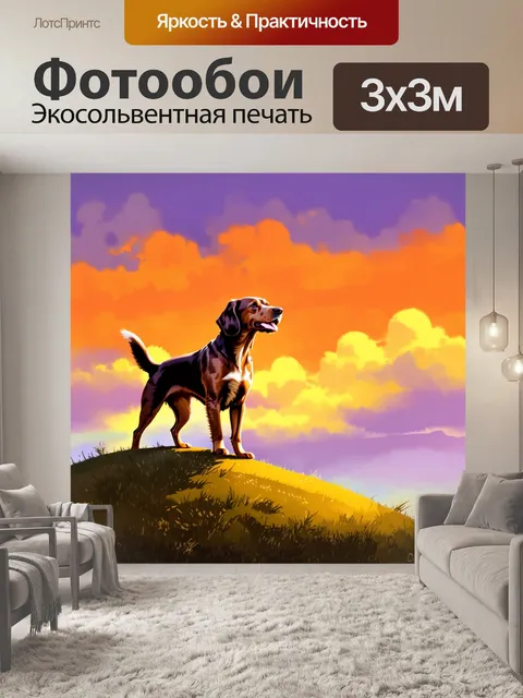Фотообои кокер-спаниель, стоящий на вершине холма, смотрит вдаль на закат