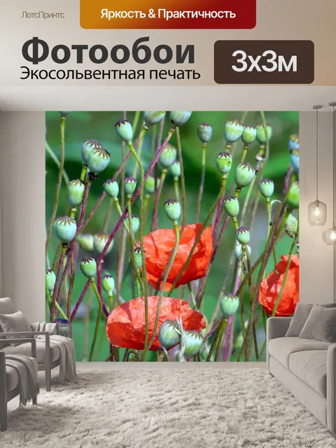 Фотообои Маки
