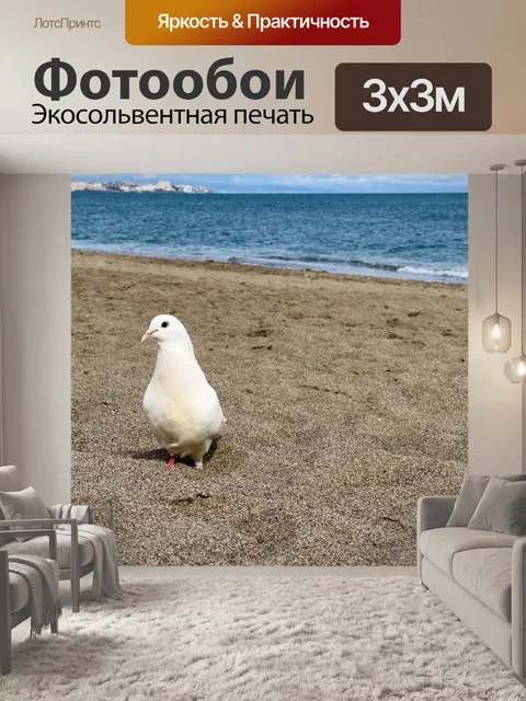 Фотообои голубь на пляже