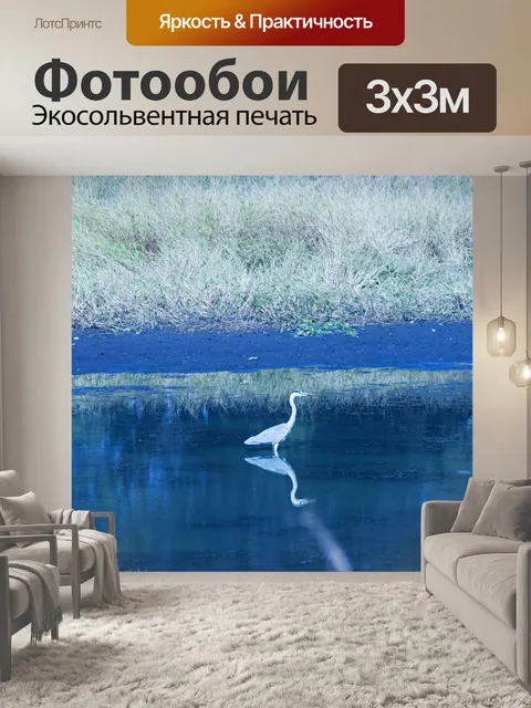 Фотообои серая цапля пробирается в дамбу