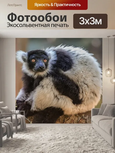 Фотообои Зоопарк