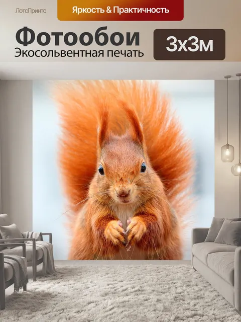 Фотообои Белка