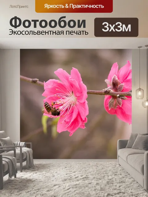 Фотообои Персик