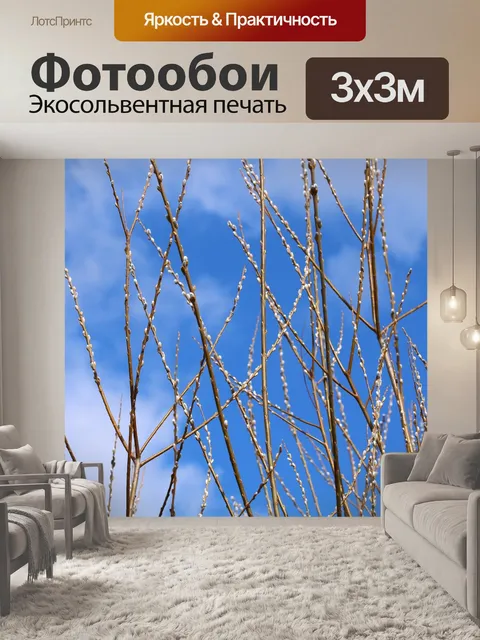 Фотообои Кошки