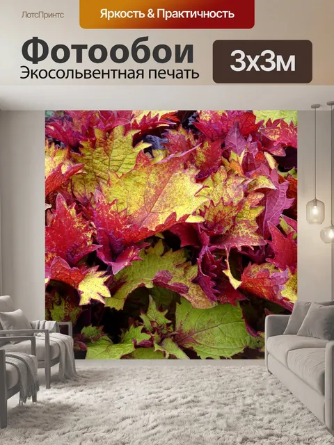Фотообои Красочный лиственный фон Буша