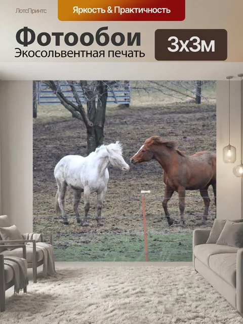 Фотообои Лошади