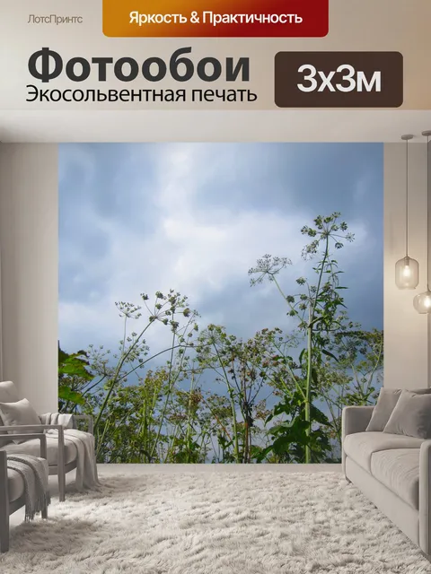Фотообои Натюрморт