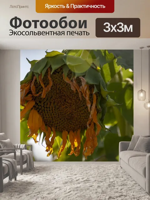 Фотообои Уилтед Гигантский подсолнух