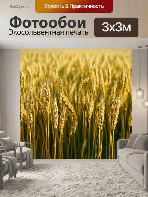 Фотообои поле волны из злаков, где легкое дуновение создает ритмичное движение