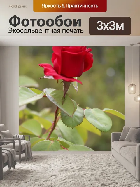 Фотообои Цветок