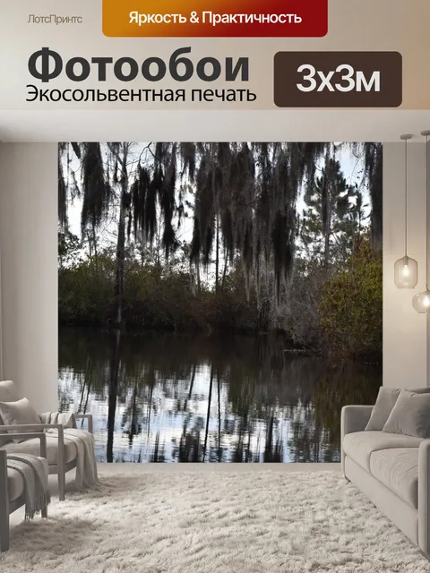 Фотообои Испанский мох свисает над озером