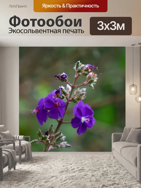 Фотообои Цветы