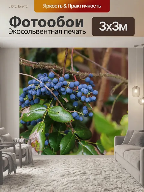 Фотообои Ягода
