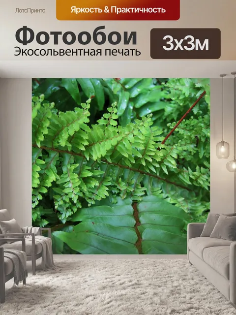 Фотообои листья папоротника завода