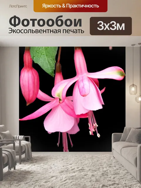 Фотообои Цветок